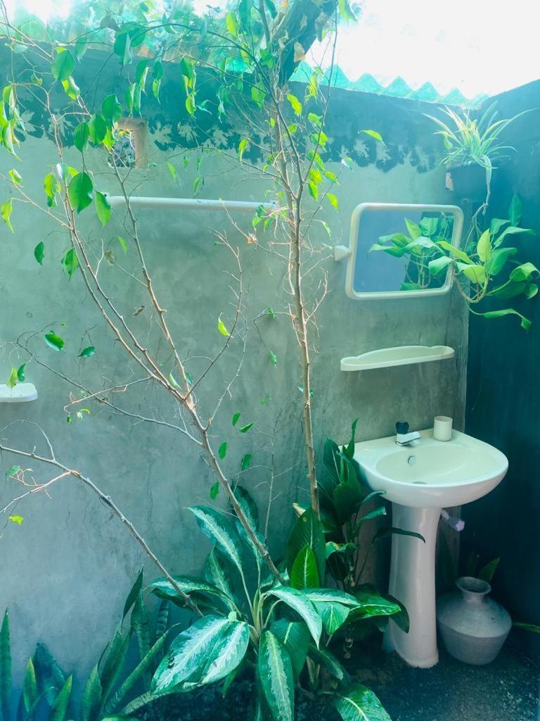 Malabar Home Stay Джафна Номер фото